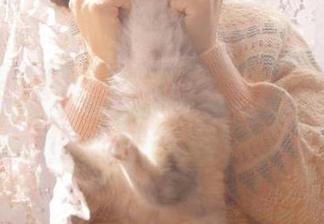 Xiuren秀人网 - 定制你的厨娘写真，程程程与美丽不期而遇.txt