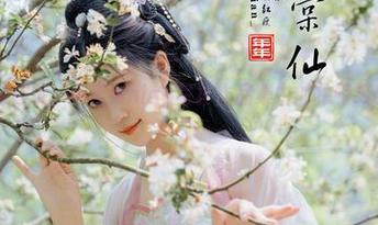 叶红的灵感启示：年年Nnian写真作品集中的独特故事和情感.txt